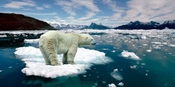 El Impacto del Cambio Climático en Nuestro Día a Día