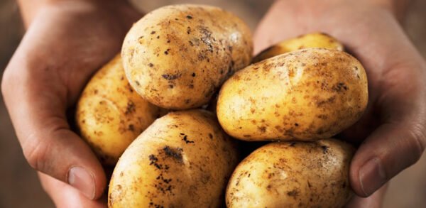 La Papa: Un Tesoro Nutricional de la Tierra