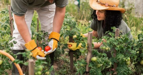 Los beneficios de la permacultura en una vida sostenible