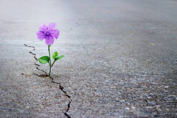 ¿Cómo Está Tu Mente Hoy? Una Guía Amigable para la Salud Mental