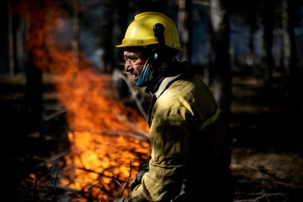 Evitar desastres: objetivo de la gobernanza del fuego E.E.U.U – México